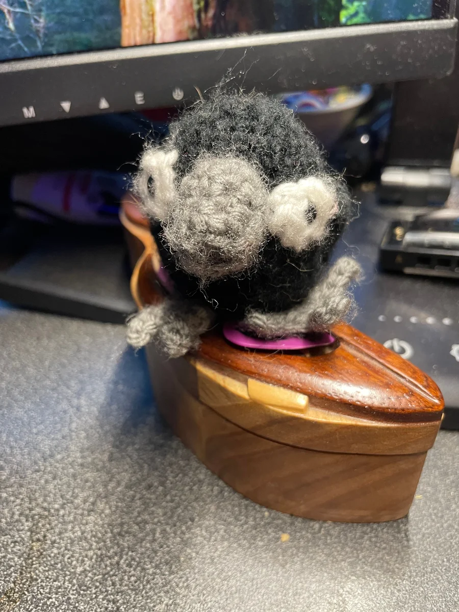 Carla the Cozy Corvid